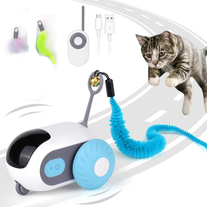 Interactive Pet Play Car