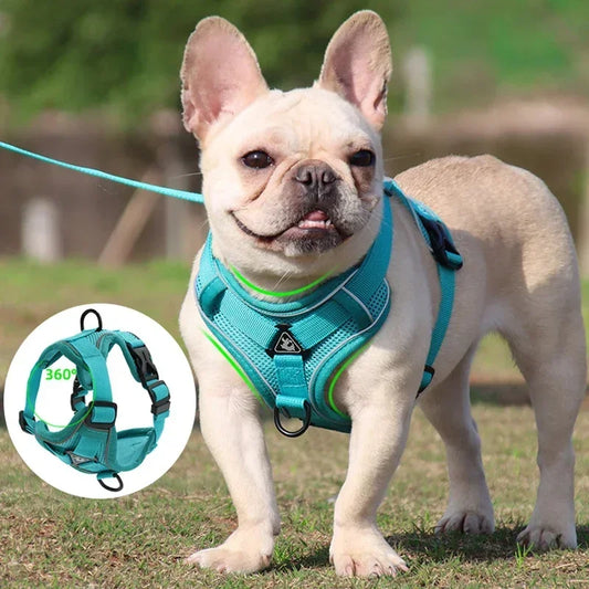 No-Pull Comfort Harness Set