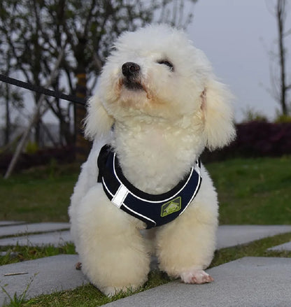Reflective Mesh Pet Harness Set
